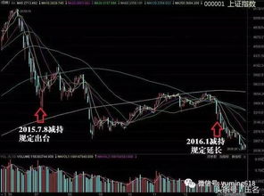 股价大涨背后的减持潮，上市公司股东的扎堆现象解析