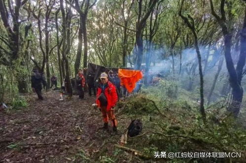 男子遭裁员后孤身进哀牢山