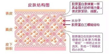 全方位解读，揭秘皮肤过敏的六大元凶，养生达人教你科学防御