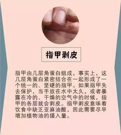 全面解读，性病初期症状的警惕与防治指南——养生达人的健康守护秘籍