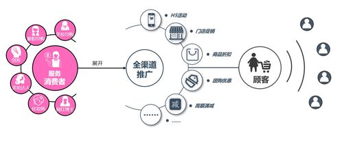 深度解析，通草的养生秘密——功效与作用全方位解读