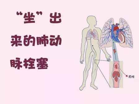 深度解析，为何肾部保养至关重要——养生达人的独特见解