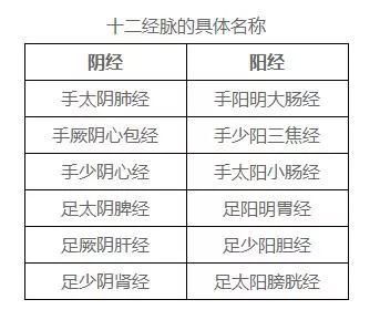 深度解析，泡脚养生之道——揭秘其神奇功效与科学依据