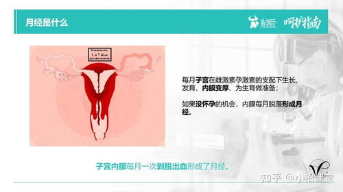 呵护女性健康，远离宫颈糜烂——深度解析与生活养生指南