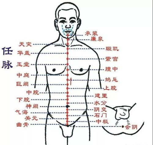 深度探索，全面解读人体穴位的养生秘籍——高清图解，让健康触手可及