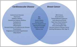 乳腺癌，科学治疗与生活方式的双重守护——从康复到长期管理的全面指南