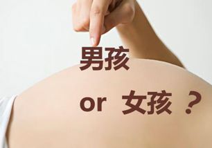 全面攻略，日光性皮炎的科学防治与生活护理