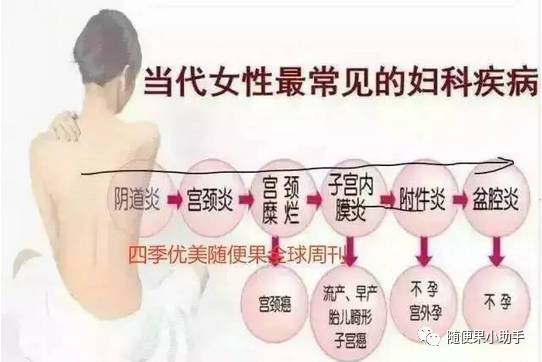 全方位解读，女性妇科疾病的常见症状及健康护理指南