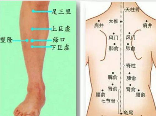 全面解析，阴部炎症的预防与调理——养生达人的专业指南