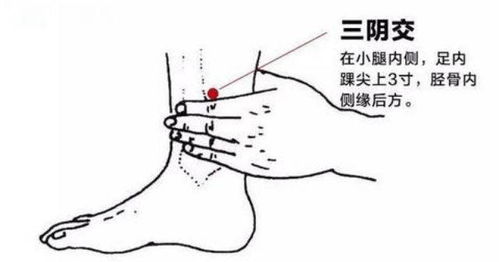 全方位解读，肾囊肿治疗策略与养生保健全指南