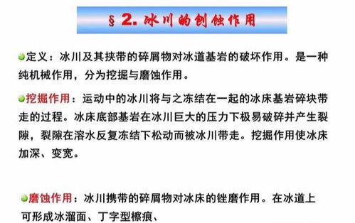 赤芍的养生密码，揭秘其神奇功效与全面作用解析