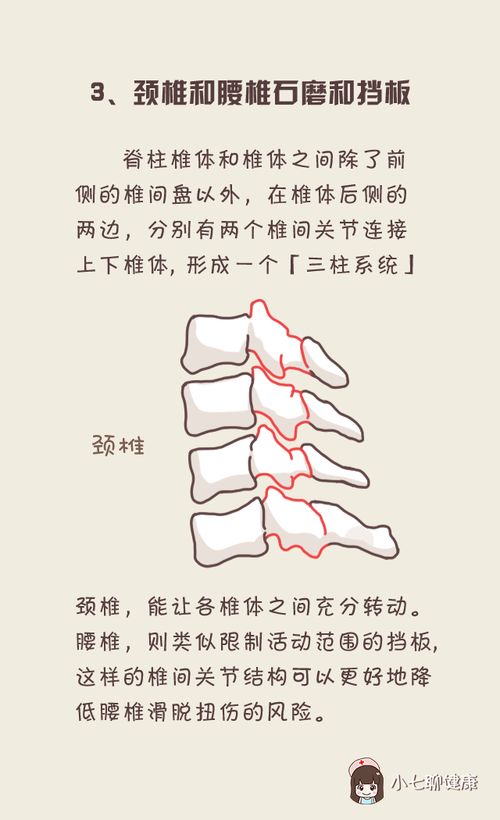 全面解析，十二指肠炎的疼痛秘籍与养生调养之道