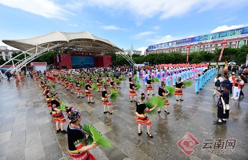 养生达人独家揭秘自然疗法，非药物治疗疝气的绿色指南