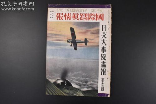 跨越国界的贪婪，中国男子诈骗7旬日本老妪超8亿日元案的深度剖析