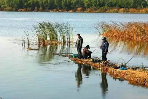 钓翁养生之道，从湖畔到生活的全面调养指南——走进钓鱼翁网站的健康世界