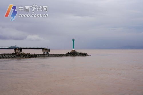 宁波海水倒灌，街边商户的困境与发声