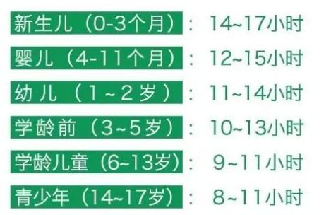 揭秘电池大小奥秘，5号与7号的养生智慧与电池应用全解析