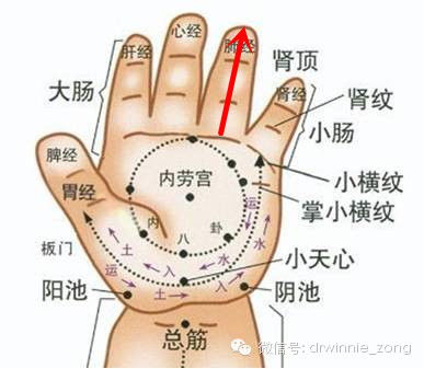 儿童鼻炎绿色疗法，全面解析与自然偏方指南