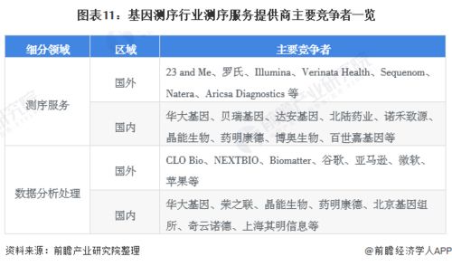 深度解析，全面了解性病的特征与养生之道