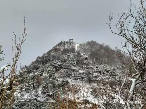 泰山脚下，银装素裹——记一场突如其来的暴雪