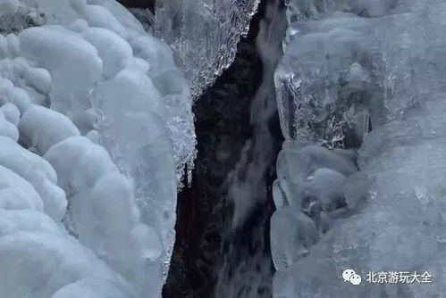 京城冬日奇景，北京的飘雪记忆与科学解析