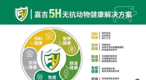 养生达人探秘小榄人民医院，健康守护与绿色医疗的完美结合