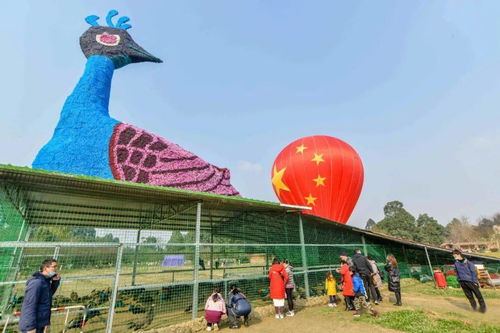 探秘东方广场，一场味蕾的环球旅行