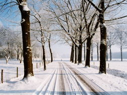 上海下雪了，城市与自然的奇妙邂逅