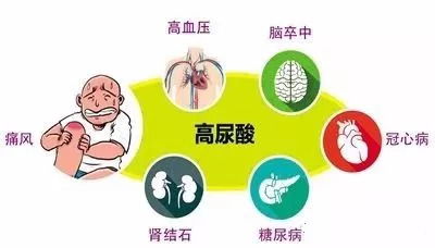 深度解析，肾积水的养生之道与症状应对策略