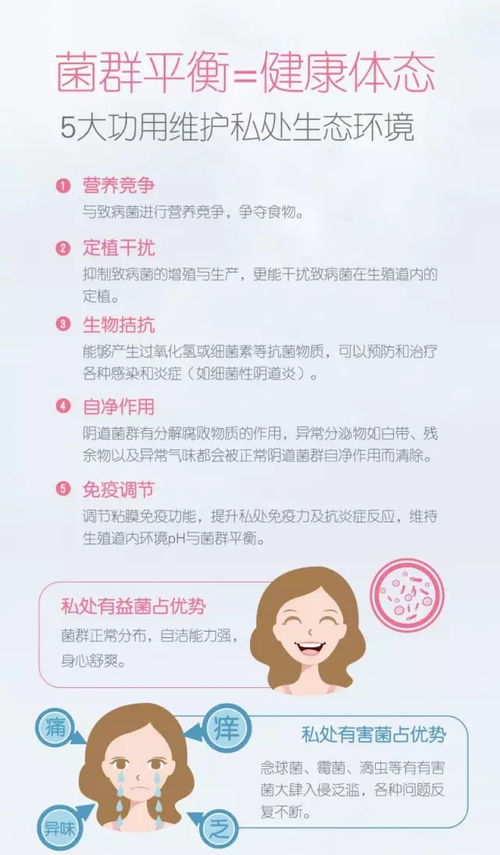 调养有术，穿越绝经期，女性养生指南——应对生理变化的智慧之道