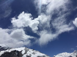 千山暮雪，一场生命的冬日奇遇与坚韧之旅