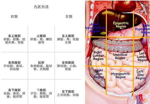 深度解析，全面认识咽炎的症状，你的健康守护指南