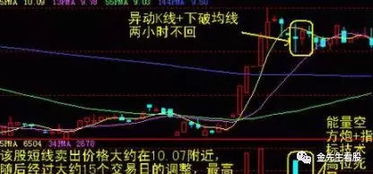 掌握医药股票投资秘籍，从入门到精通的全面指南