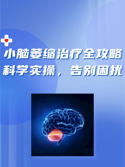 远离困扰，探寻健康——上海早泄诊疗指南