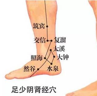 全方位解析，肝火旺盛与肾虚的调养之道——养生达人实战指南