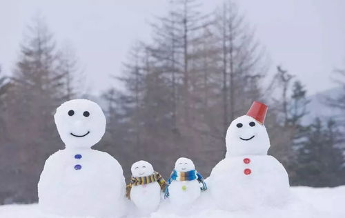 浙江人的冰雪奇缘，一户一雪人的梦想成真