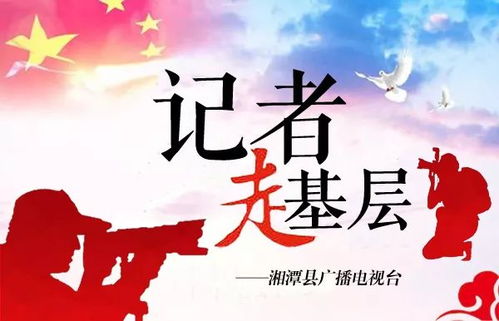 坚韧的花朵，下岗女工的创业故事——重燃生活火焰与社会创新的力量