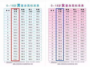 宝宝身高计算器，理解和引导宝贝健康成长的指南