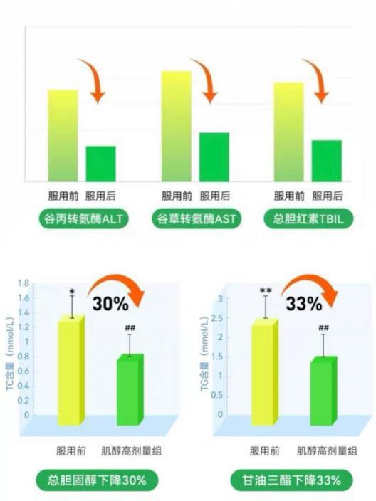 谷草转氨酶，健康晴雨表的小小秘密—解读正常值与维护肝脏健康