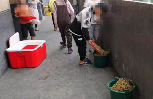 向佐垃圾桶旁的特殊午餐，娱乐圈的另类生活与自我挑战